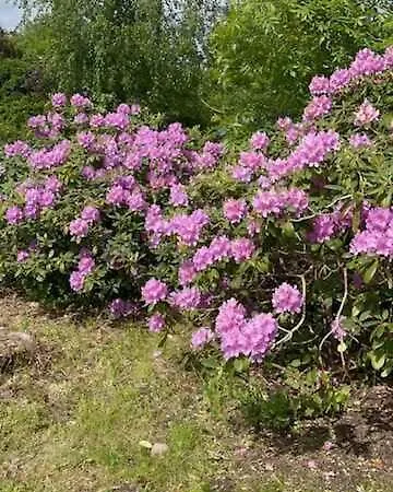 Lovely With Annex And Garden Feriehus